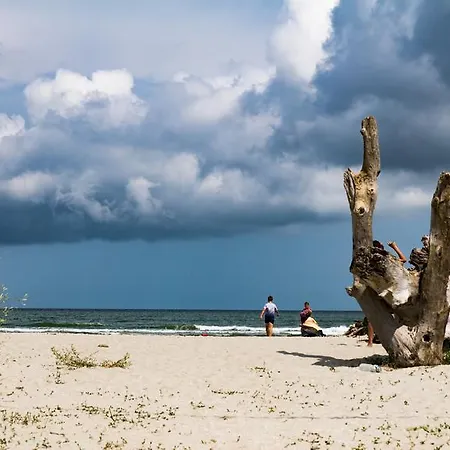 Blacksea * Mamaia